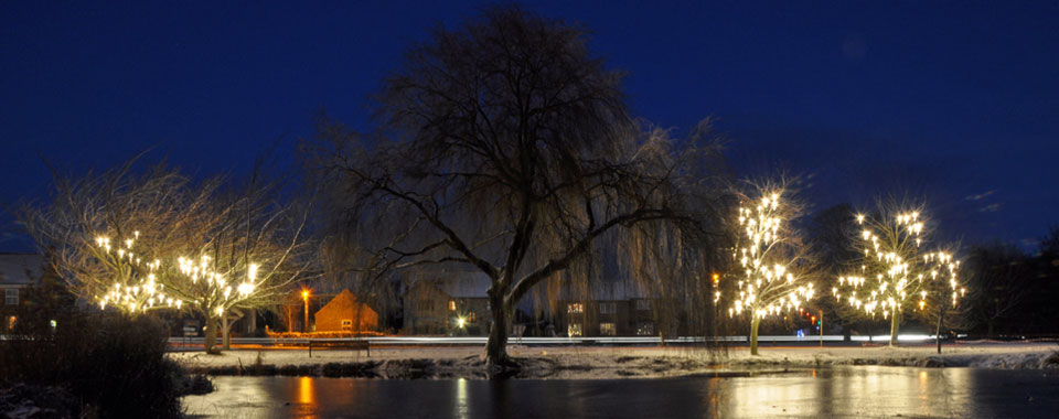 Skipwith Village Pond at Christmas